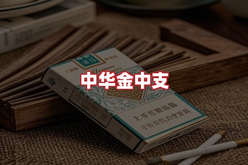 中华金中支