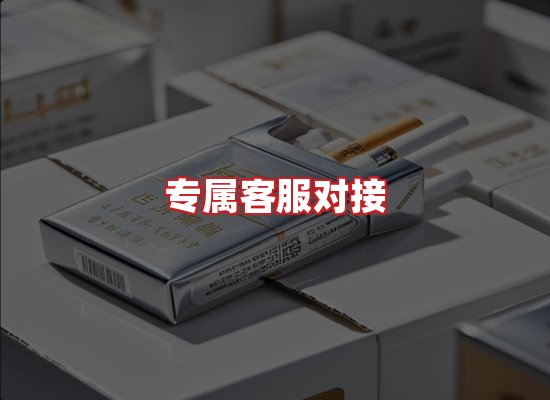 专业团队